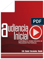 Audiencia Inicial - Erik Rauda PDF