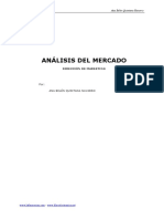 Analisis de Mercado PDF