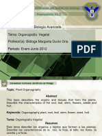 Organografia Vegetal PDF