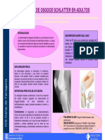 Rodilla PDF Sevilla