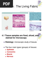 Chapter 4 Tissue - The Living Fabric