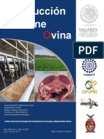 20 Produccion de Carne Ovina