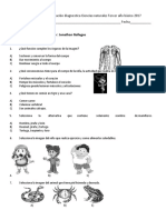 Prueba de Diagnóstico Ciencias Naturales Tercero