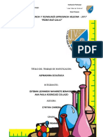 Proyecto Aspiradora Ecologica Esteban y Paula