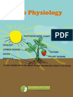 Crop Physiology