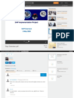 Sap Overview PDF