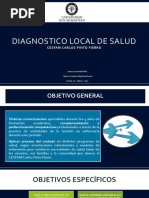 Diagnostico Local de Salud Cesfam CPF