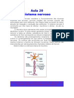 Sistema Nervoso Introdução