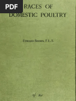 Races of Domestic Poultry