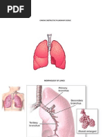 Chronic Obstructive Pulmonary Disease