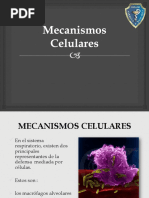 Mecanismos Celulares