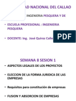 Semana 8 - 1 y Evaluacion de Proyectos 2015-V Unac