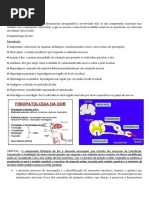 Fisiopatologia Da Dor