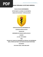 Proceso de Atencion de Enfermería Paciente en DP - CNSR