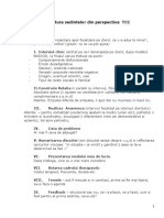 Structura Sedintelor Din Perspectiva TCC