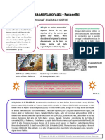 Libro I - La Alquimia Medieval-A-diagrama o Gráfico - Las Moradas Filosofales