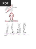 Circulation of Qi