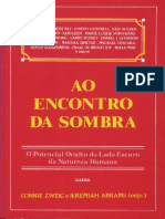 Ao Encontro Da Sombra - Connie Zweig