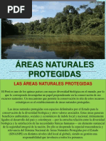 Areas Naturales Protgedias Del Peru