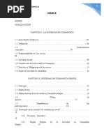 MONOGRAFIA SOCIEDAD EN COMANDITA Finalizada