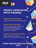 Sumbar Kotapadang Profil 2016