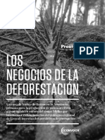 Los Negocios de La Deforestación