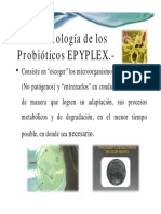 Apliacaciones Probioticos Avicola