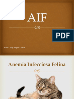 Anemia Infecciosa Felina