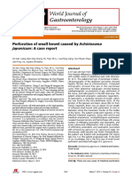 Schistosoma Japonicum: Perforation of Small Bowel Caused By: A Case Report