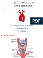 Cabang A.subclavia Dan A.carotis Communis