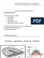 Clase 5 Mesodermo I