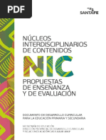 NIC III Enseñanza y Evaluación PDF