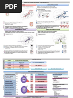 Dopamine Hypothesis