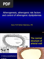 Aterogenesis English Group