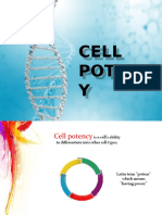 Cell Potency and Its Types