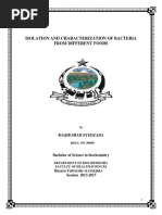 Isolation of Bacteria From Different Food Products