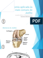 Anatomia Aplicada Às Lesões Mais Comuns de Joelho