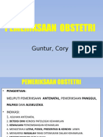 Pemeriksaan Klinik Obstetri