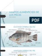 Habitos Alimenticios de Los Peces by Elomrtz