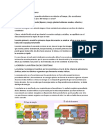 Mecanismos de Autorregulación de Los Ecosistemas