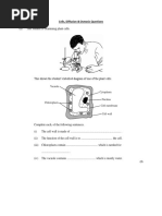 Cells, Diffusion & Osmosis Questions