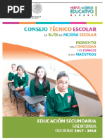 Ruta de Mejora Escolar 2017-2018