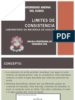 Limites de Consistencia - Expo