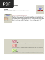 Mycology - Chapter Six Dimorphic Fungi: BLASTOMYCOSIS (Blastomyces Dermatitidis)