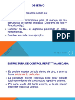 Estructura de Control Repetitivo Anidado PDF