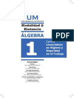 Algebra I Definitivo 02 06 08 PDF