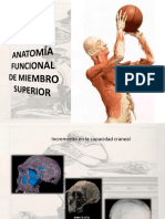 Anatomía de Hombro y Región Axilar PDF