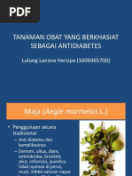 Tanaman Obat Yang Berkhasiat Sebagai Antidiabetes