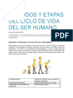 Periodos y Etapas Del Ciclo de Vida Del Ser Humano