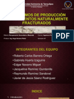 Mecanismos de Produccion en YNF